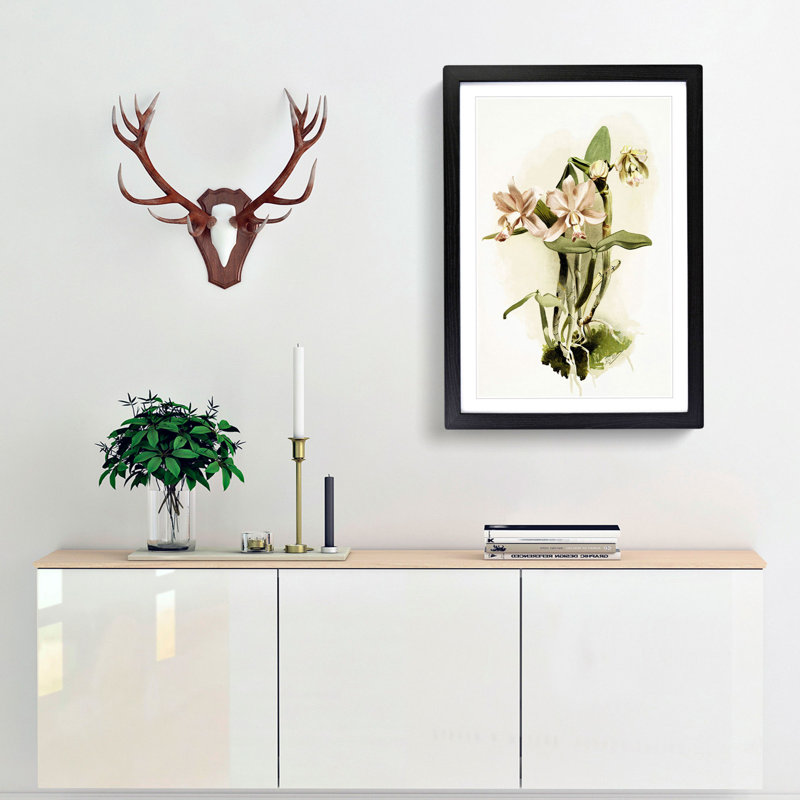 Magnolia Flowers Illustration Tab. 40 by Frederick Sander - Picture Frame Painting Print, 91cm H x 60cm W x 2cm D, Black