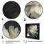 Blooming White Peony V - Art mural pivoine-16144142-48209918-16144137