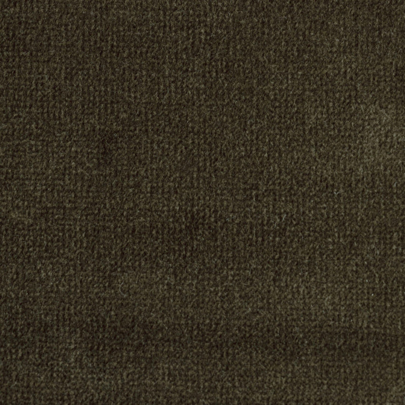 Potter Bed, Surrey Olive