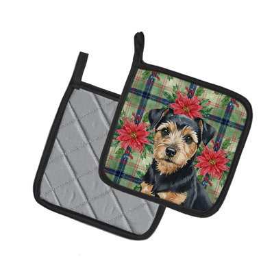 Paire de poignées noires et brun clair Norfolk Terrier