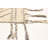 Sienna Cream Rug 5'6" x 7'6"
