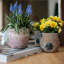 Pot de fleurs en terre cuite