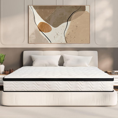 Queen Mattress 10 Inch | Queen Size Hybrid Mattresses in a Box | Medium Firm Feel Memory Foam and Individual Pocket Springs | Fiberglass Free Bed Matr by Alwyn Home