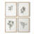Vintage Floral Print CCI  Framed Print - Set of 4-870093-870095