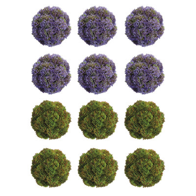 Decorative Sedum