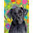 Labrador (noir) sélectionné