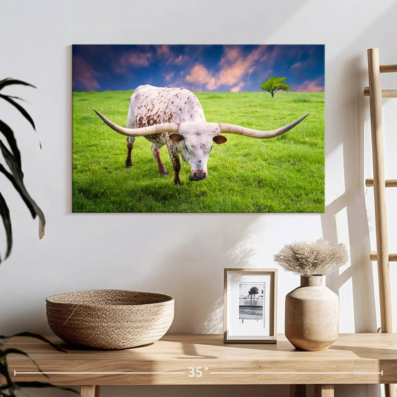 Brampt White Longhorn, 8" H x 12" W