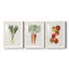 Organic Veg II - ensemble de 3 reproductions de cadres photo-974140462-974140468