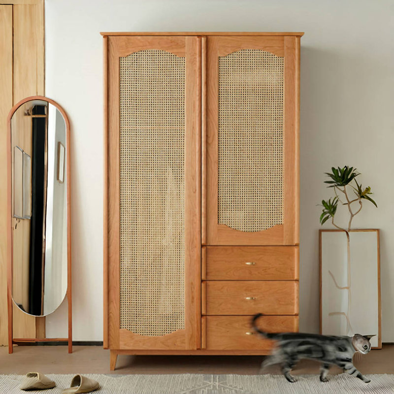 Simple and Retro Light Luxury Wardrobe