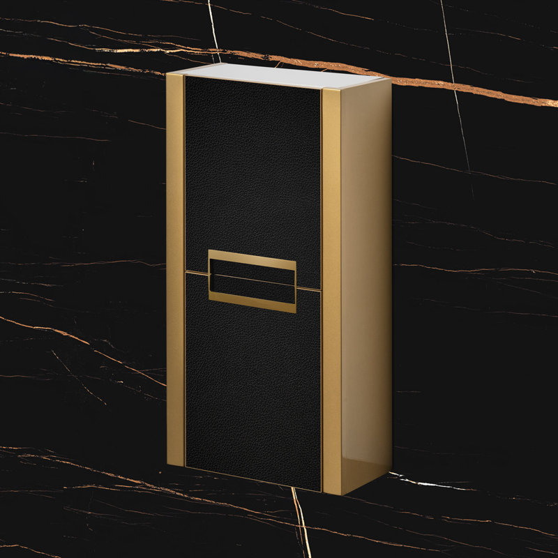 Danya Bathroom Cabinet with 2-doors, Black/Gold