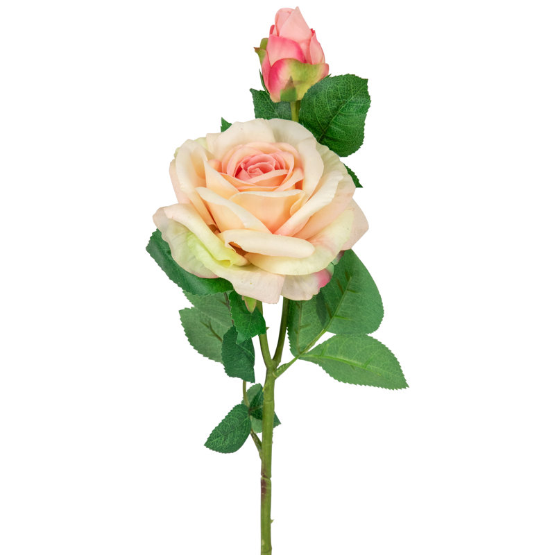 Toucher les tiges artificielles roses, Rose