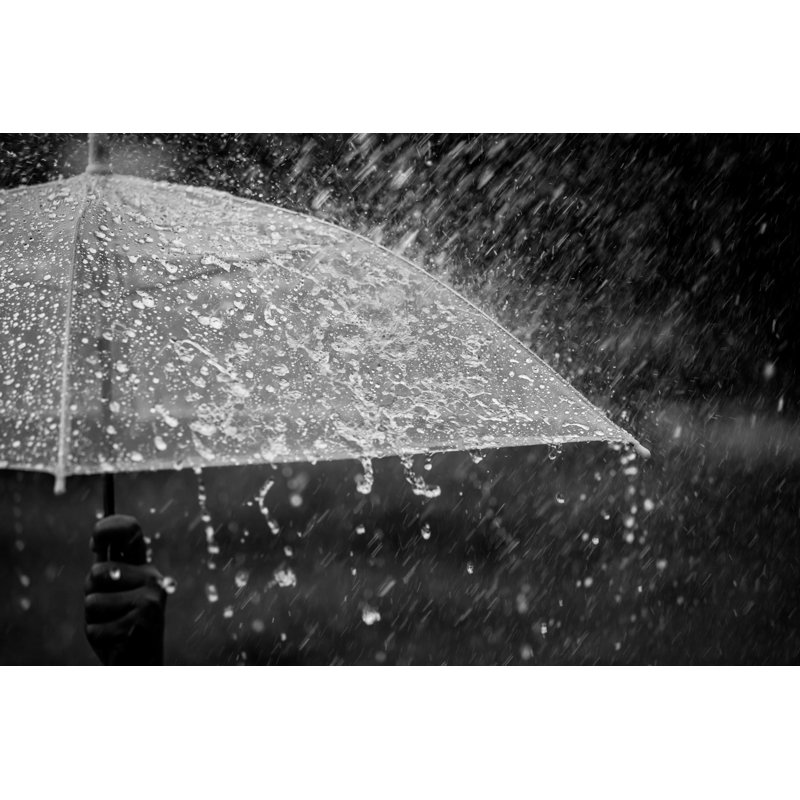 Umbrella In The Rain by Sasiistock - Wrapped Canvas Print, 20cm H x 30cm W