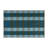 Checkered Blue Indoor and Outdoor Area Rug-1801122355