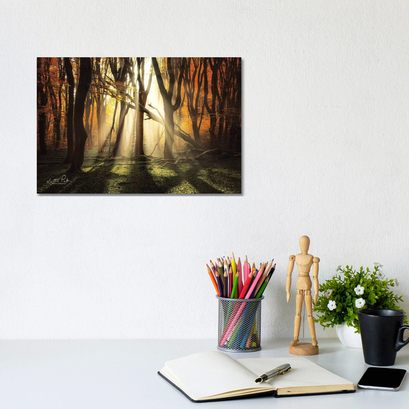 The Awakening by Martin Podt - Wrapped Canvas Print, 20.32 cm H x 30.48 cm W
