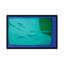 «Three Fish», reproduction d'art sur toile tendue-22636372-72690813-72690814