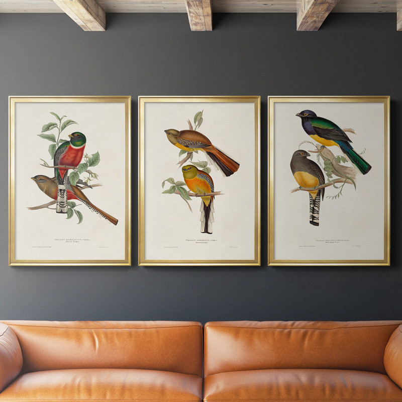 Toile encadrée de qualité supérieure Elegant Trogons I - prête à être accrochée, Cadre doré, H 42,5 po x l 61 po x P 2,5 po