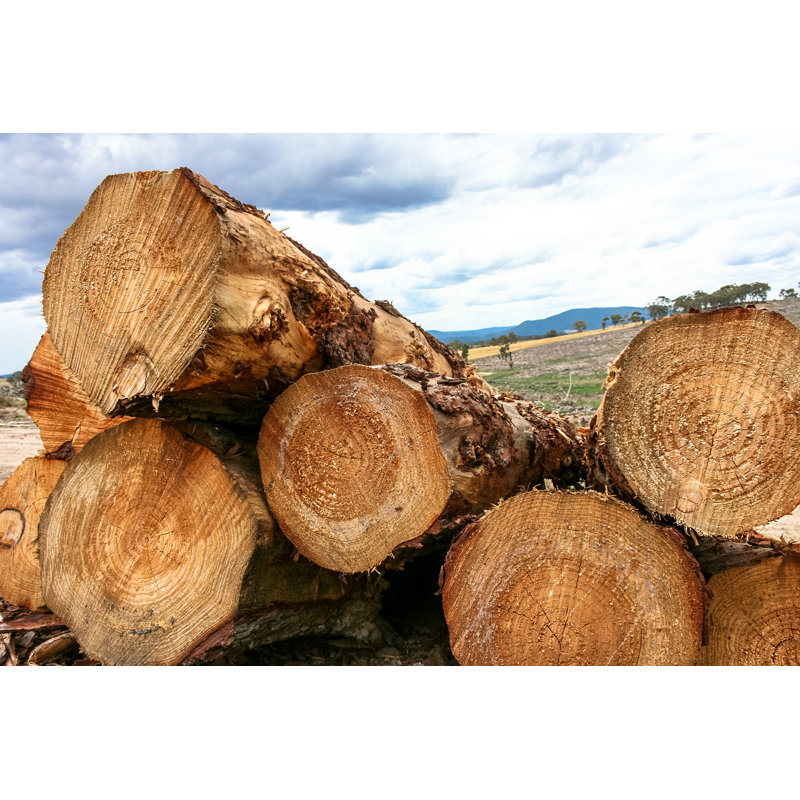 Stack Of Logs by Istock80 - Wrapped Canvas Print, 30cm H x 46cm W