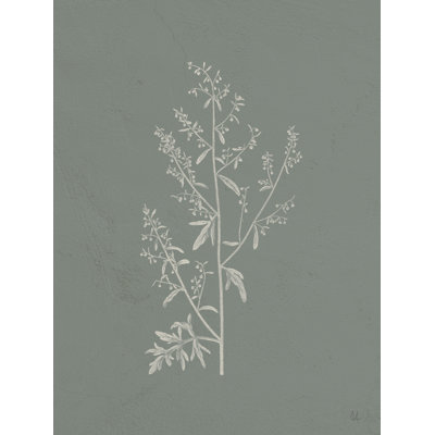 Cadeaux de la sauge II par Sarah Adams - reproduction