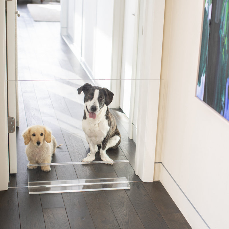 Clear Acrylic Freestanding Pet Gate Panel, 30 Inches Tall