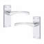 1 Set Victorian Scroll Astrid Door Handle