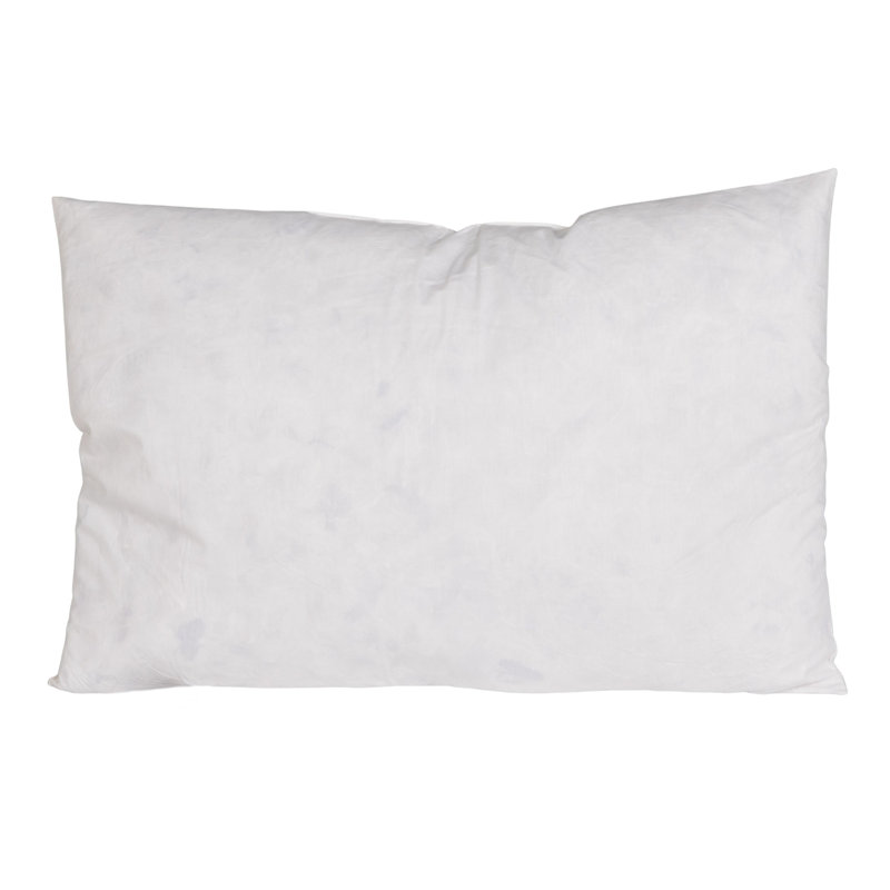 25" X 17" Duck Feather Down Pillow Insert, Set Of 2, Rectangle 17"H x 25"W