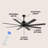 66'' Ceiling Fan with LED Lights-453944121