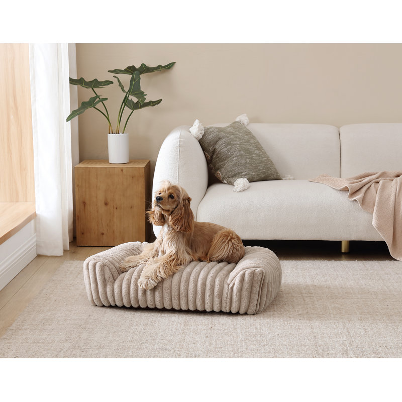 Canapé-lit Arlee Home & Pet, Tanné, H 8 po x l 34 po x P 24 po