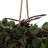Artificial Green Angel Vine Kissing Ball-93008927