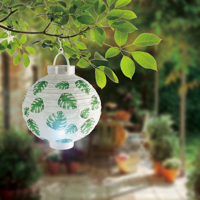 Paper Paper Lantern
