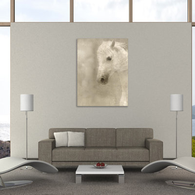 " White Main " by Kimberly Allen