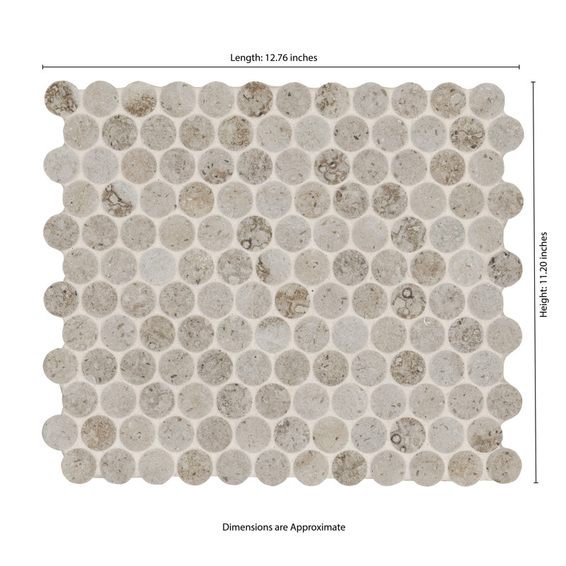 Carreau de mosaïque de plancher et de mur en porcelaine matte 11 po x 13 po Calico