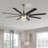 66'' Ceiling Fan with LED Lights-453944118
