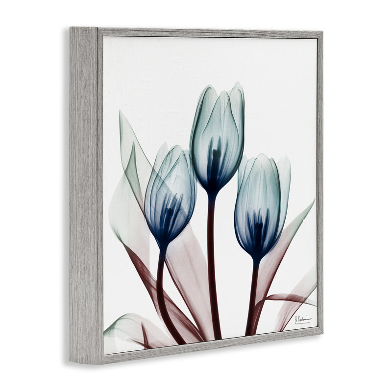 Chic Blue Translucent Tulips Framed Giclee, design by Albert Koetsier, Farmhouse Gray Framed Giclee, 24" H x 24" W