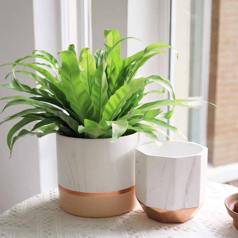 Chanko Ceramic Pot Planter, Pink
