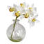 Orchids Arrangement in Vase