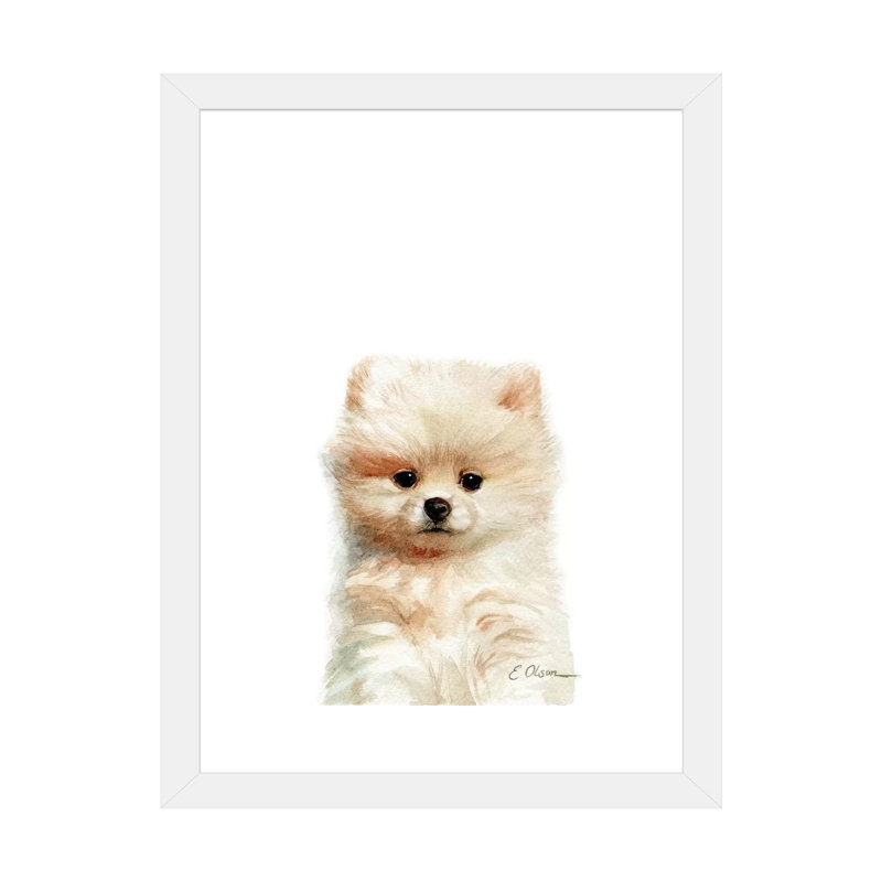 «Pomeranian Puppy» par Watercolor Luv - reproduction d'art, H 24 po x l 16 po x P 1 po, Papier encadré blanc, Blanc