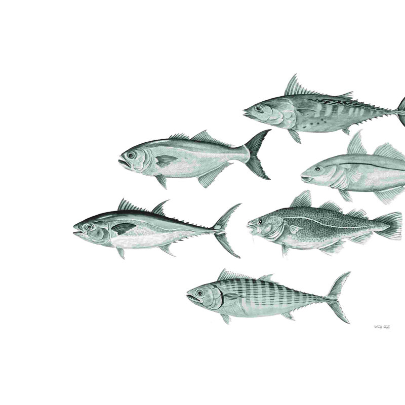 Variété de poisson II 2886533, L 12 po x H 8 po