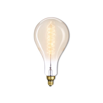 Guarino 60W E26 Antique Medium Base Incandescent Light Bulb