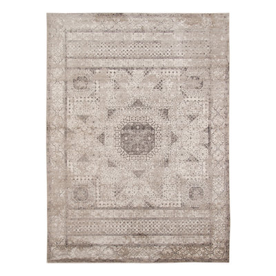 Alloway Transitional Medallion Premium High-Low Performance Area Rug