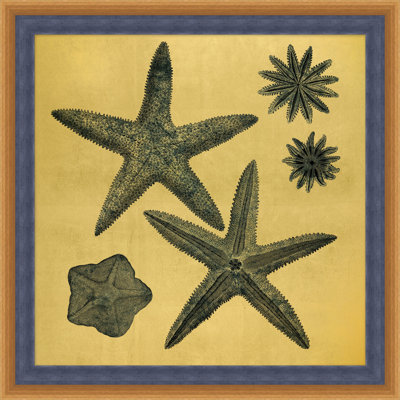 Gold Leaf Starfish 9 Print