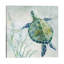 Seaglass Turtle II by Carol Robinson - Wrapped Canvas Painting-626081960-620405278