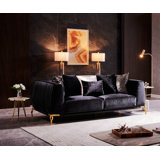 Nazila 38'' Velvet Loveseat