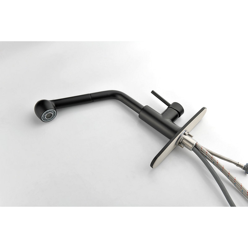 Robinet d'évier de cuisine à poignée simple avec douchette extractible, Noir mat