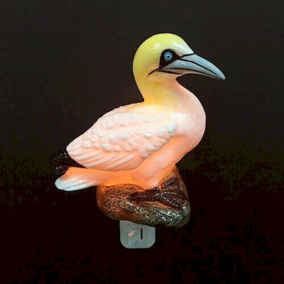 Veilleuse Gannet