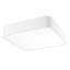 Flush Mount-89956399-89956402
