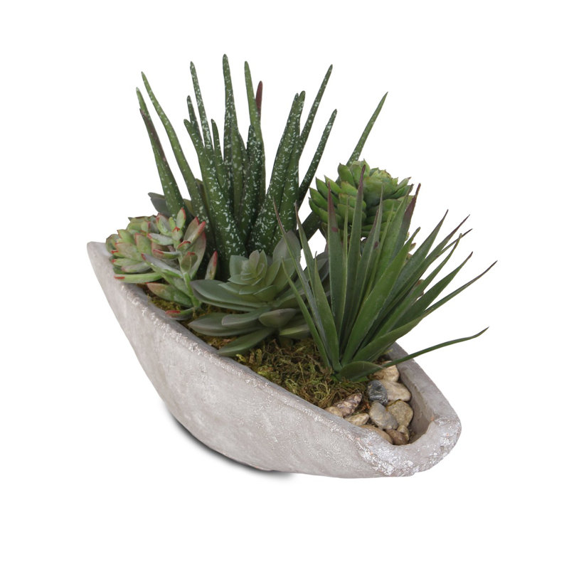Faux Succulent in Stone Pot