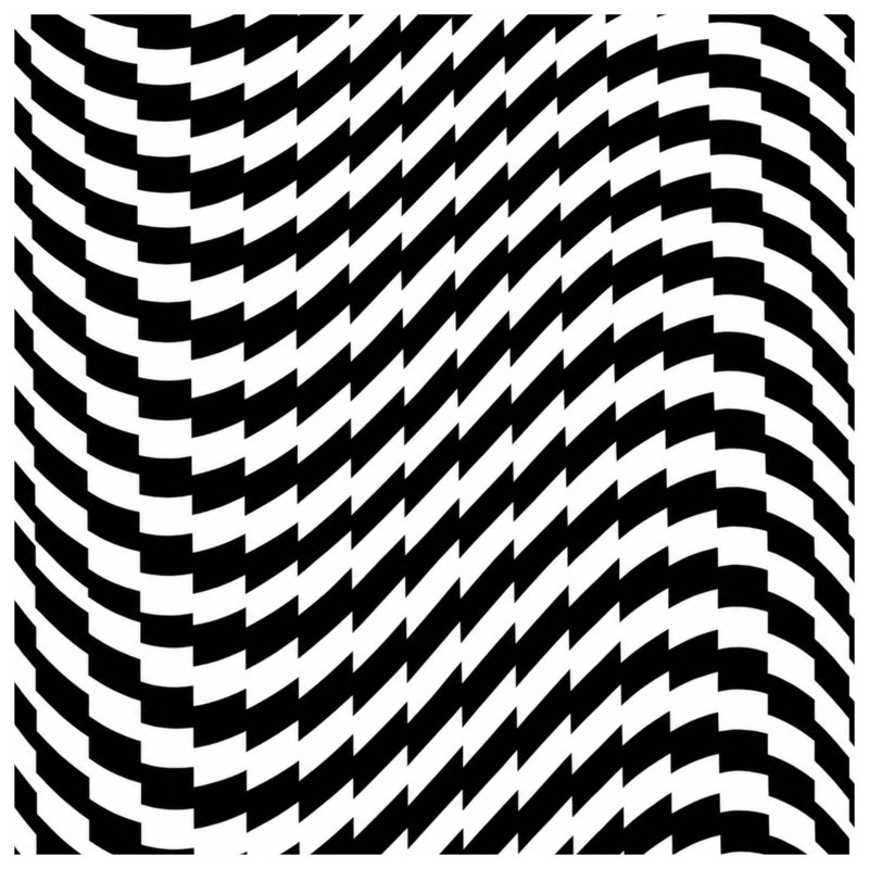 Coussins décoratifs noirs et blancs à illusion optique, 26 x 26 pouces