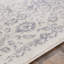 Oriental Area Rug-255142814
