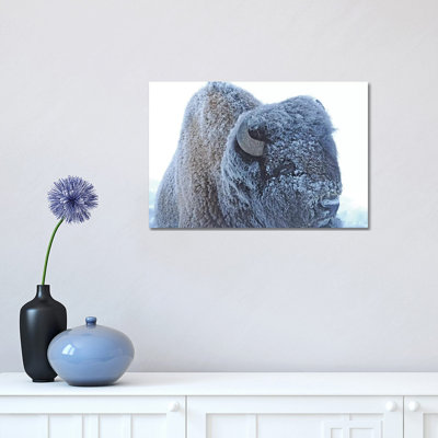 Frozen 1 Piece Wrapped Canvas Wall Art