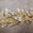 Preserved Capiz 4FT Shell Garland